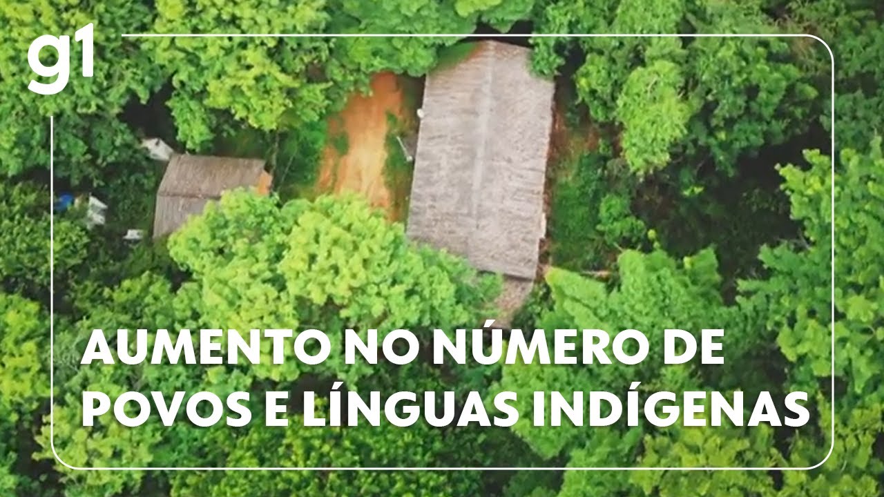Números de povos e línguas indígenas crescem no Brasil, mostra Censo 2022.
