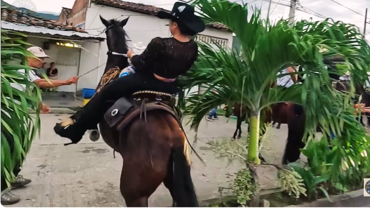 🐴 Stunning Women riding horses in Roldanillo Colombia 🇨🇴 Culturas 4K