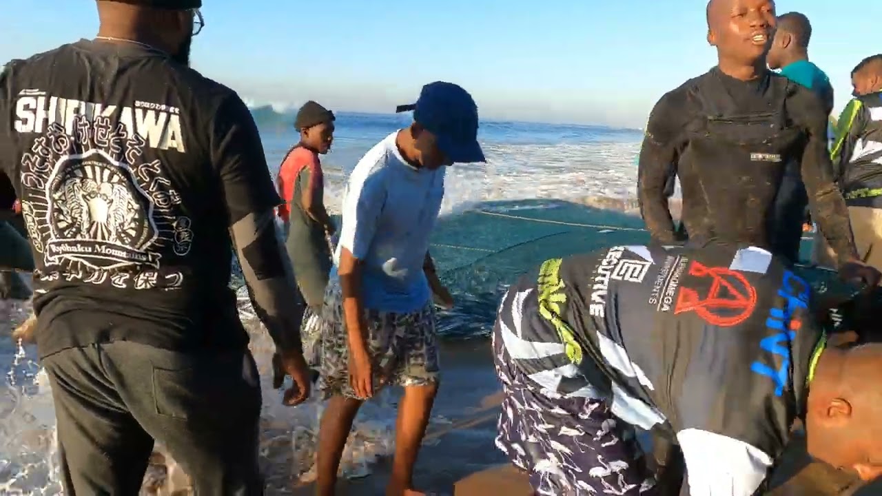 Sardines on father's day at Amanzimtoti Durban 15 June 2025