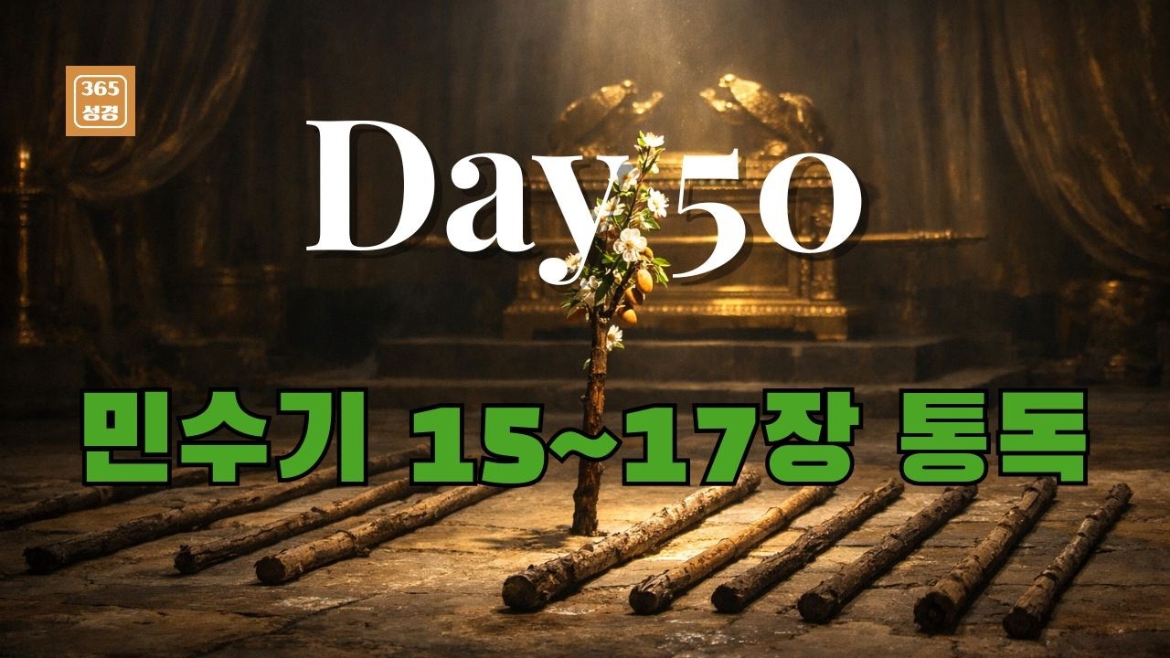 2월19일[성경통독&묵상- 50일차]:민수기 15~17장