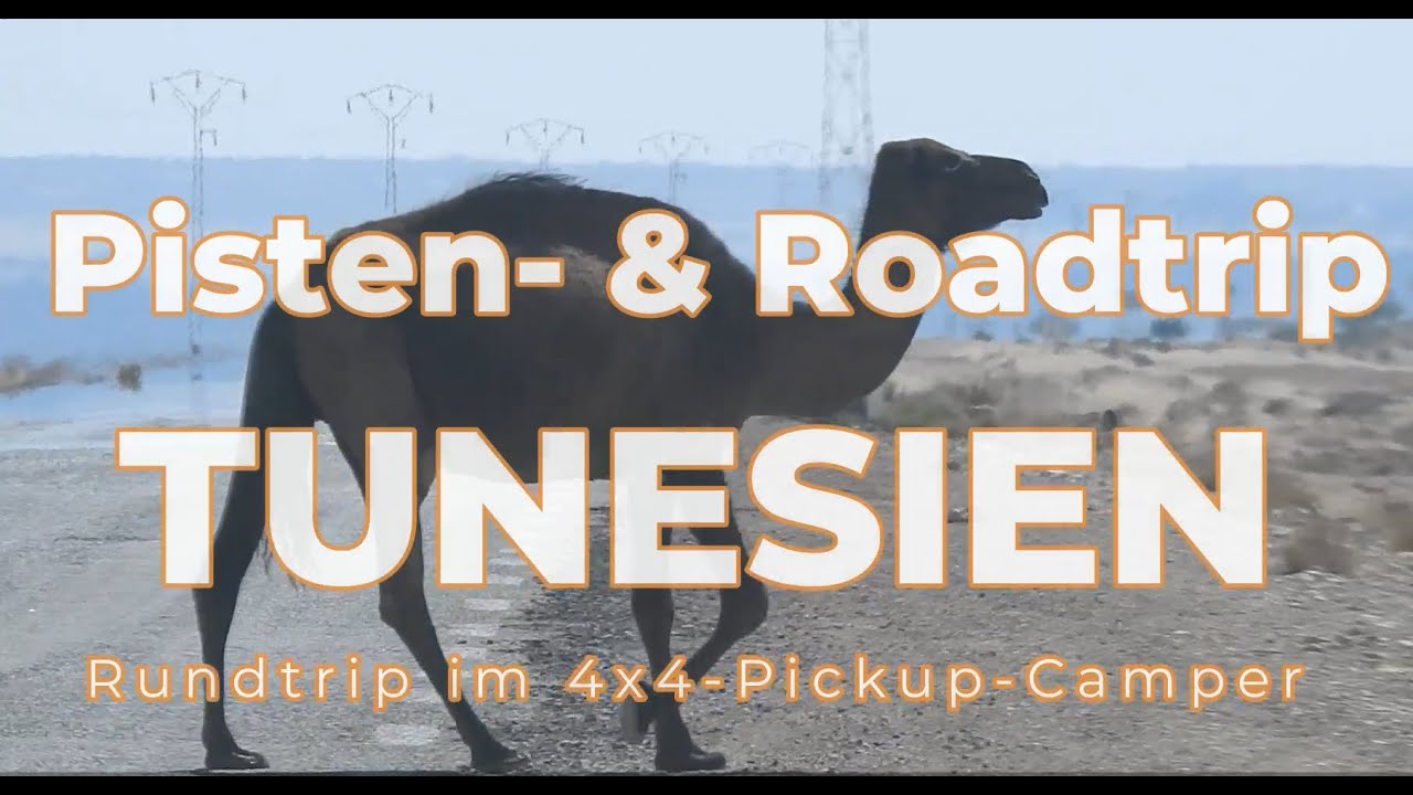 Pisten- & Roadtrip Tunesien im 4x4-Campmobil - 10/2023