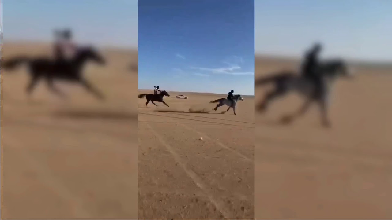 ديربي الغضب سباق خيل