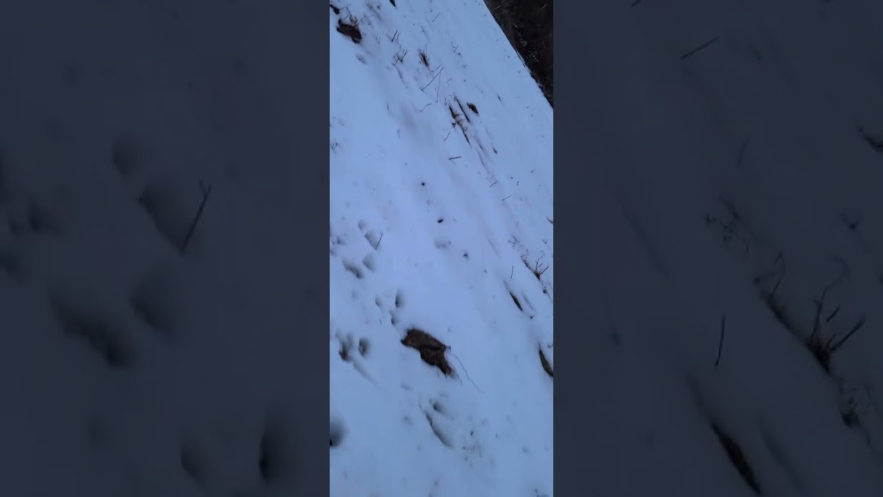 Rapture 02/21/26