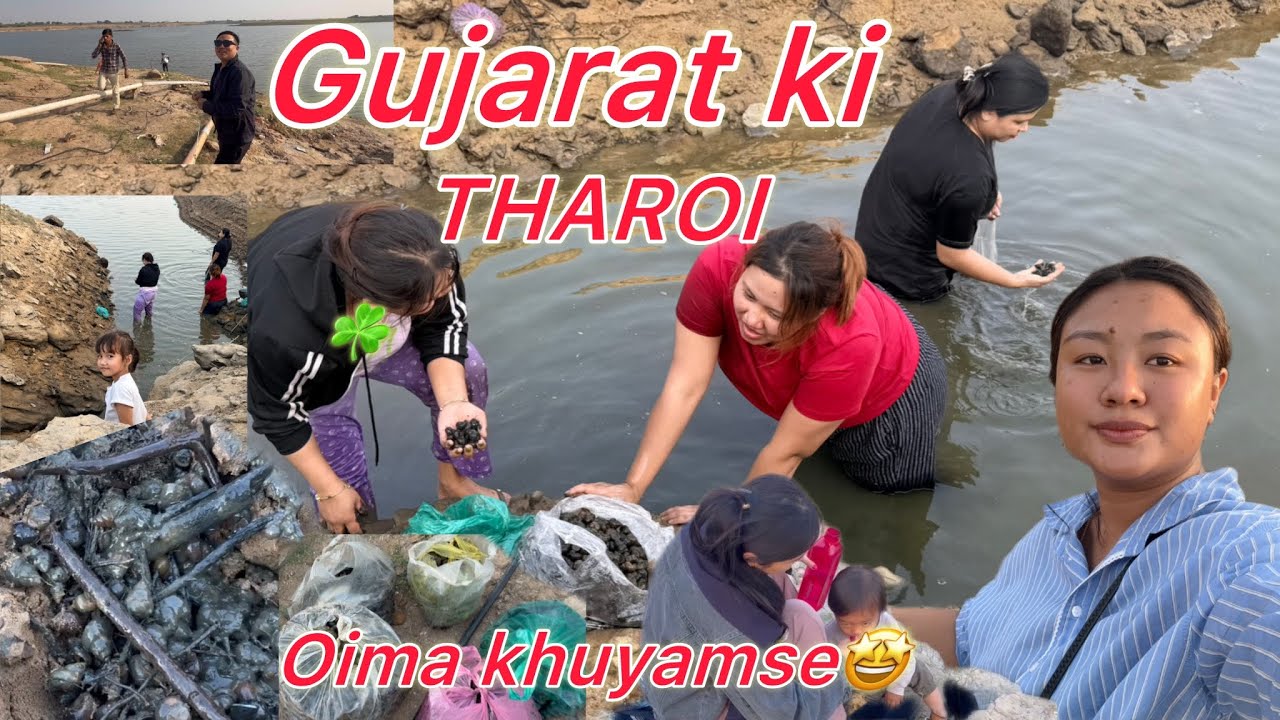 Тхарои в Гуджарате прекрасен🤩