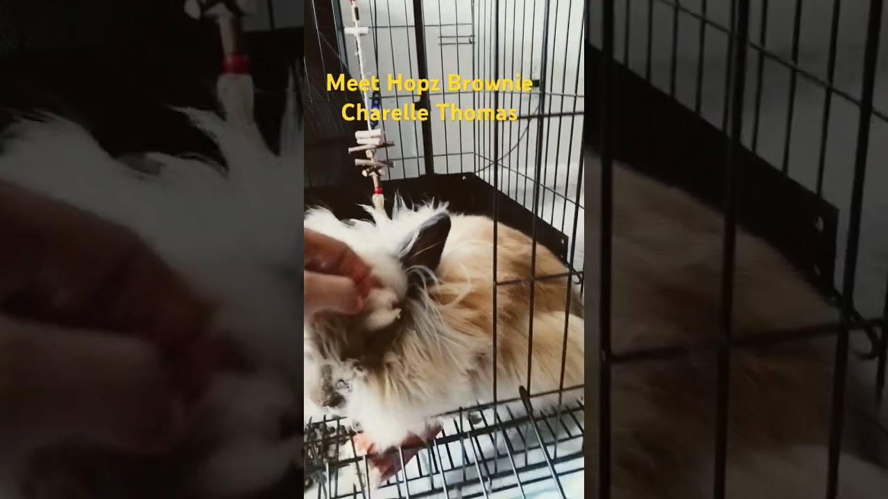 Meet my furry daughter 