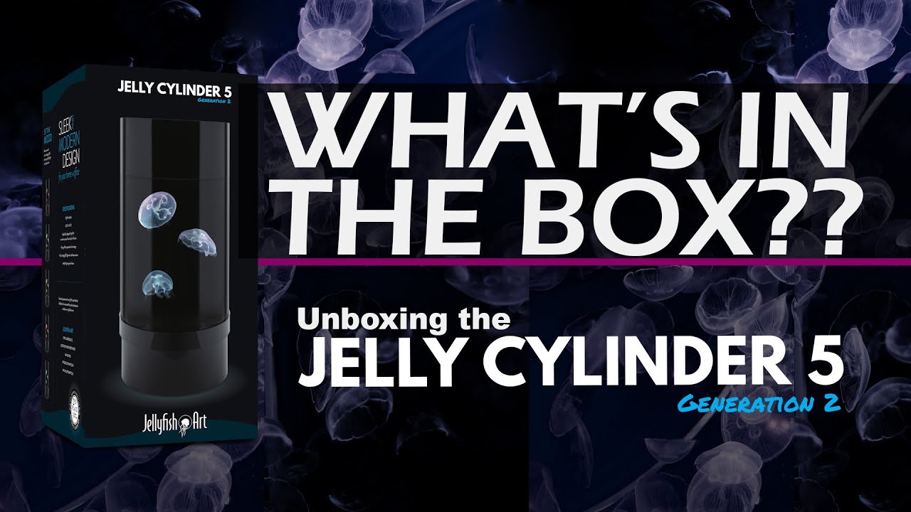 WHAT'S IN THE BOX? JELLYFISH ART, MOON JELLYFISH AQUARIUM, UNBOXING CYLINDER 5.