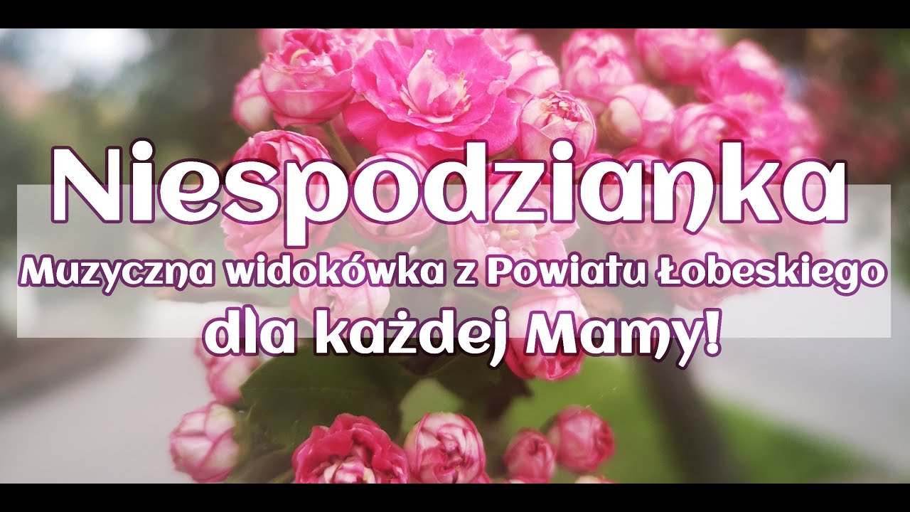 Muzyczna pocztówka z Powiatu Łobeskiego.