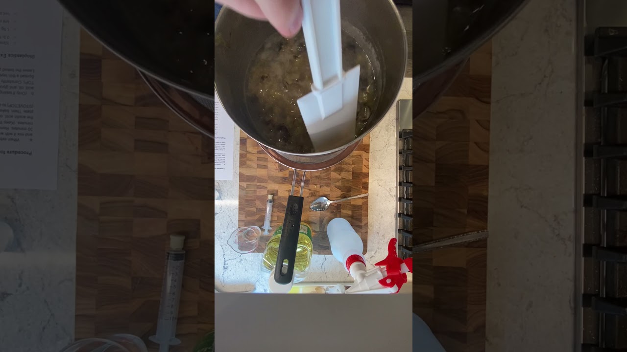 Strain off extra water: Plastic from biowaste investigation
