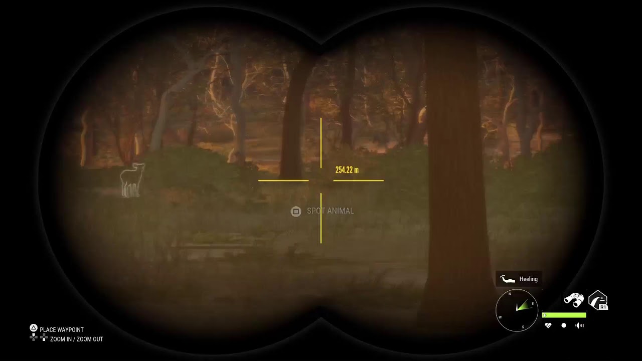 Call OF the wild cu Ianis