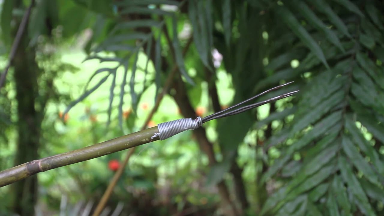Tribu de Tendo