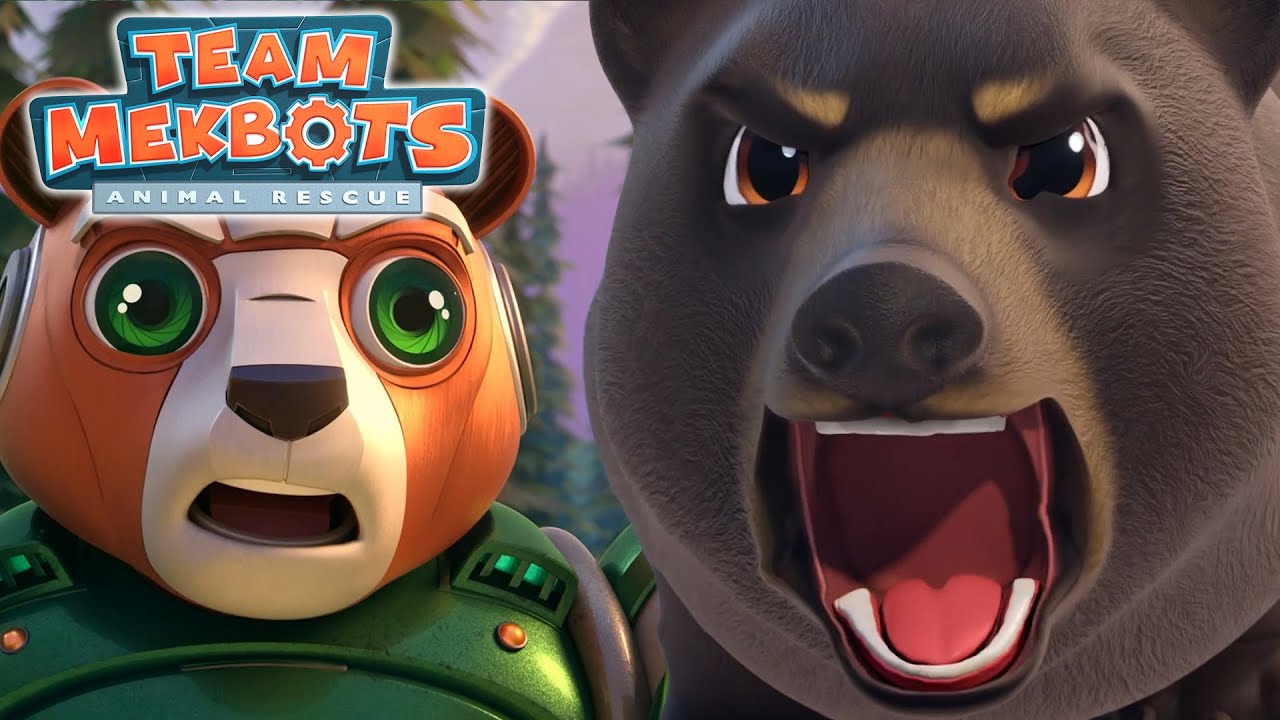 Care for a Cranky Bear | TEAM MEKBOTS ANIMAL RESCUE