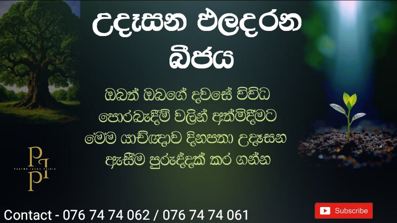 2026/03/06උදෑසන ඵල දරන බීජය දවසේ ඇතිවන ඔබගේ පීඩාවන් වලට තිතක් තැබීම පිණිස මෙම යාච්ඤාව  දිනපතා අසන්න.