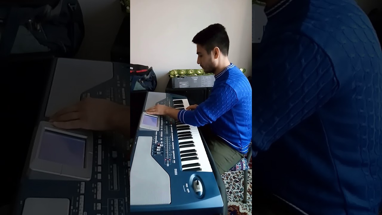 #halay Halay 2/4 #korg  #pa800