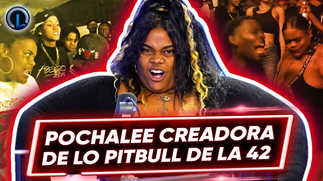 POCHALEE 15 CREADORA DE &ldquo;LO PERRO PITBULL&rdquo; DICE HARACA ESTA &ldquo;ABATIDO&rdquo; SE COME CON YUCA A MENOR QUEEN