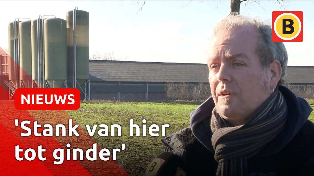 Steeds meer Brabantse boeren bouwen megastallen nét over de grens | Omroep Brabant