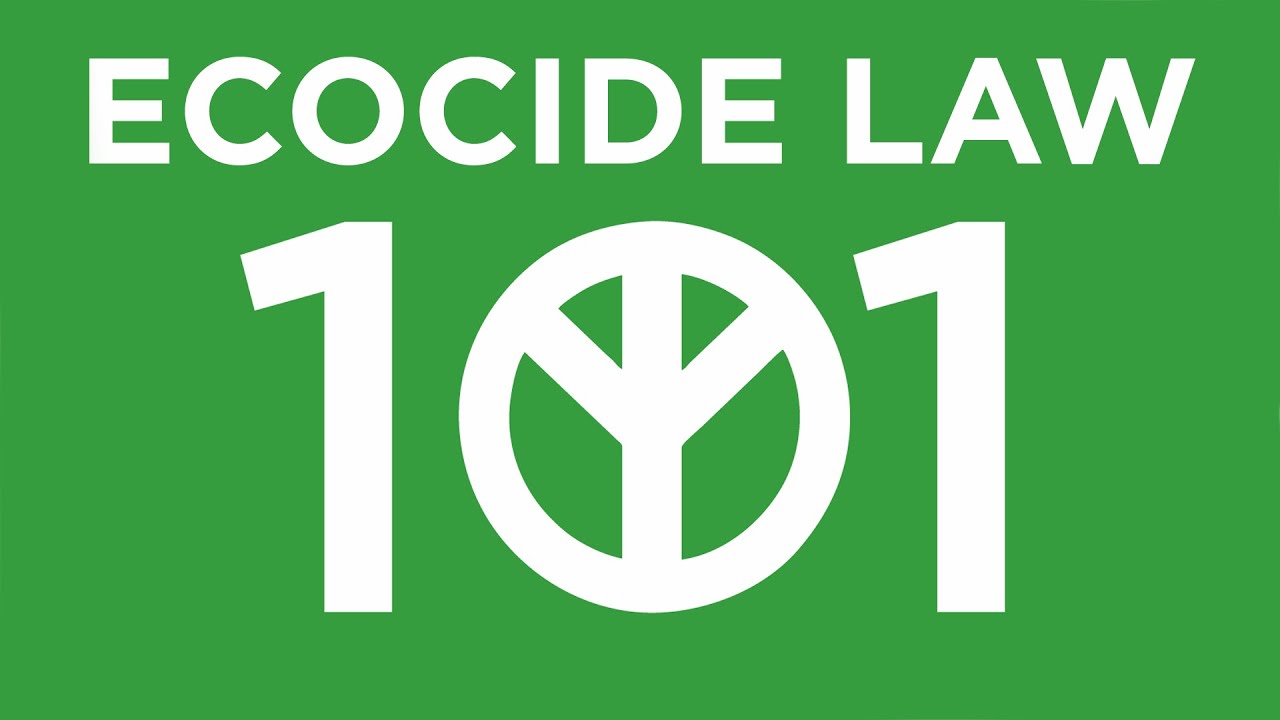 Ecocide Law 101