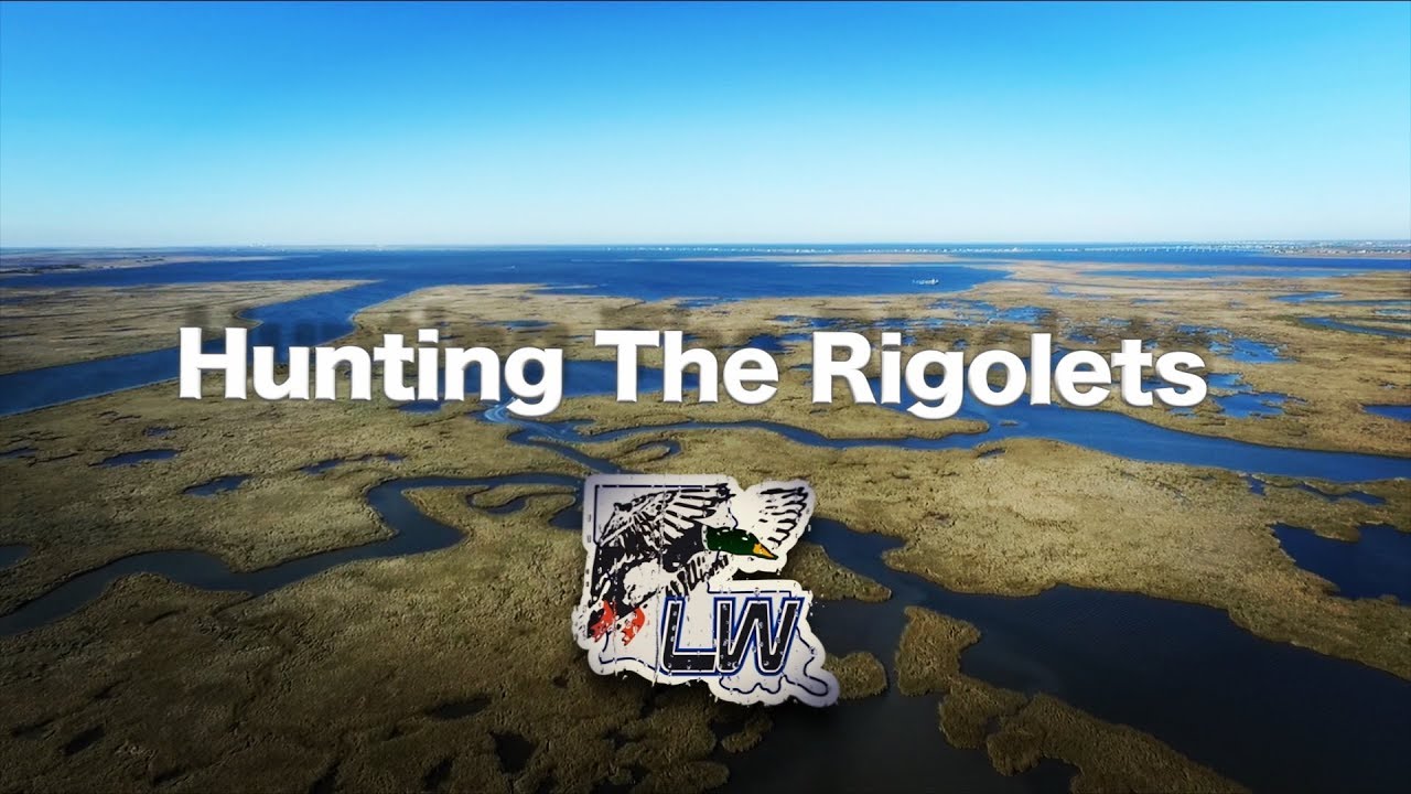 Duck Hunting The Rigolets, New Orleans Louisiana