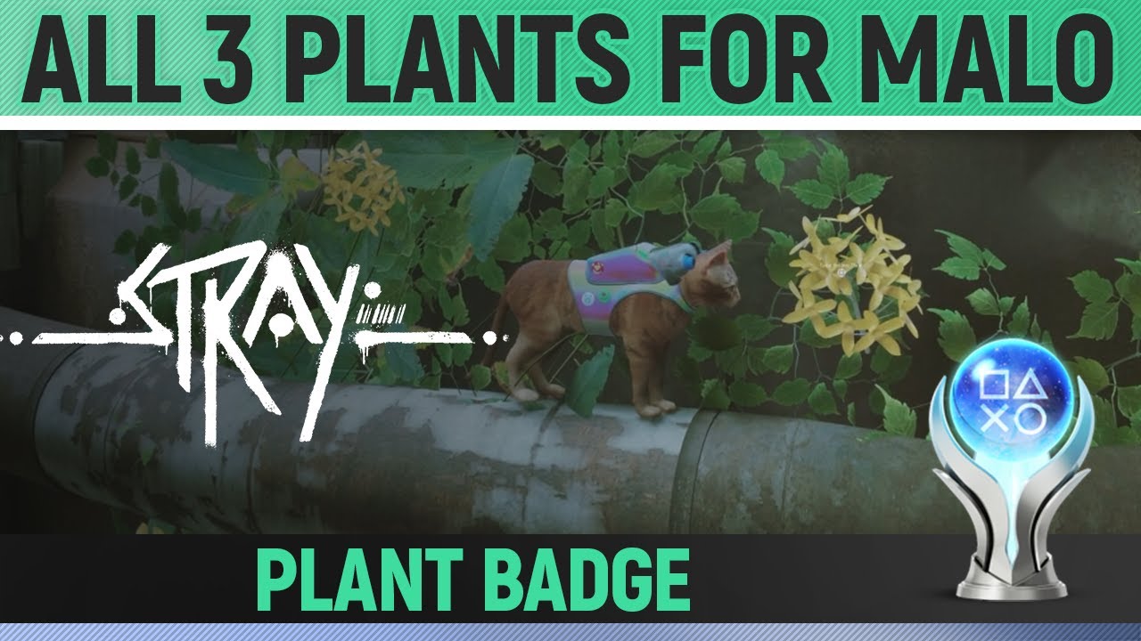 Stray - All 3 Colored Flowers/Plants for Malo in Chapter 9 🏆 Plant Badge