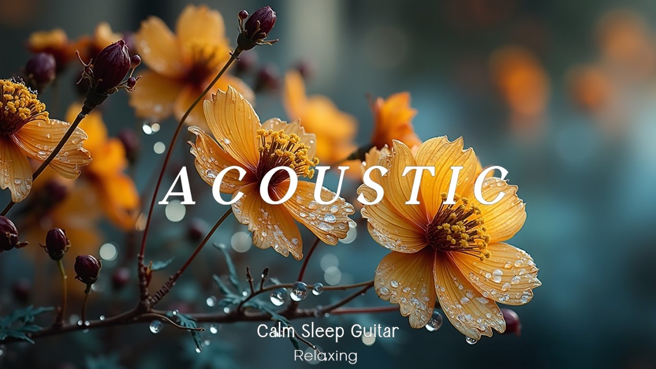 Blooming Strings - Расслабляющая акустическая гитара для сна и глубокого расслабления