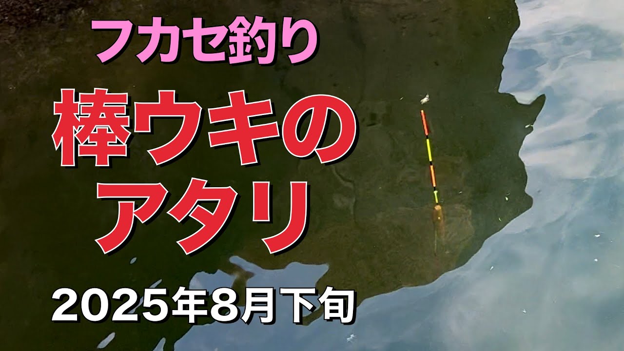 2025年8月下旬 棒ウキのアタリ集 フカセ釣り