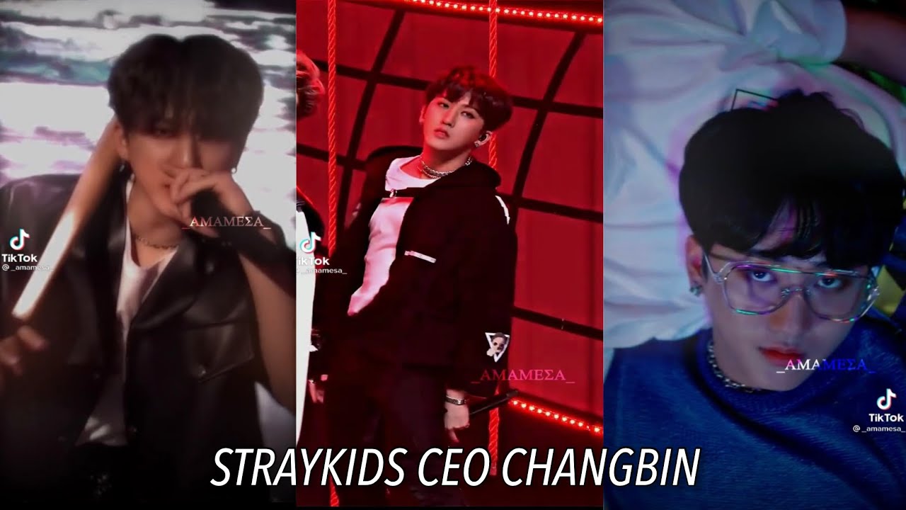 STRAYKIDS (SEO CHANGBIN) TIKTOK EDITS