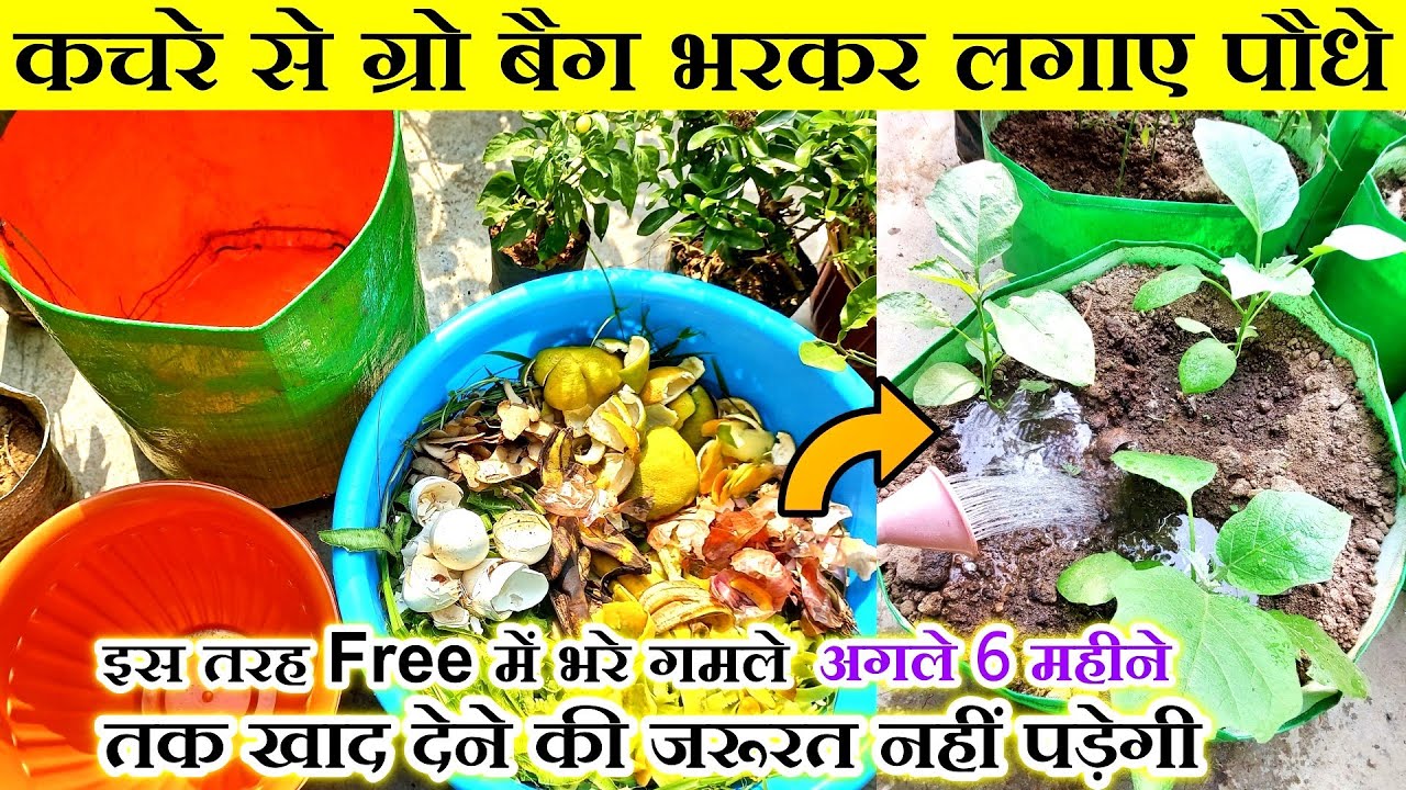 कचरे से ग्रो बैग को भरकर उगाएं सब्जियां व फल!How to fill Grow bag with less soil with garden waste
