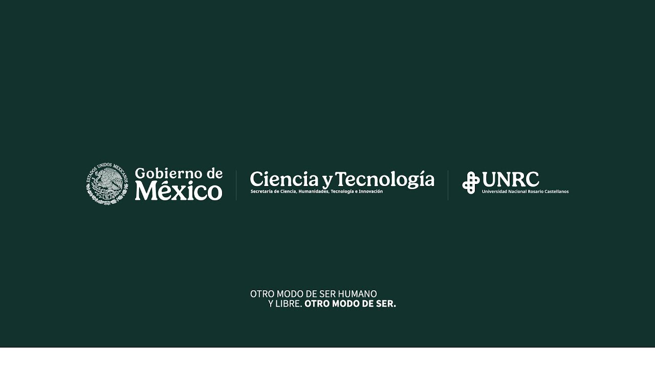 Ponencia | Movilidad con perspectiva de género en la CDMX