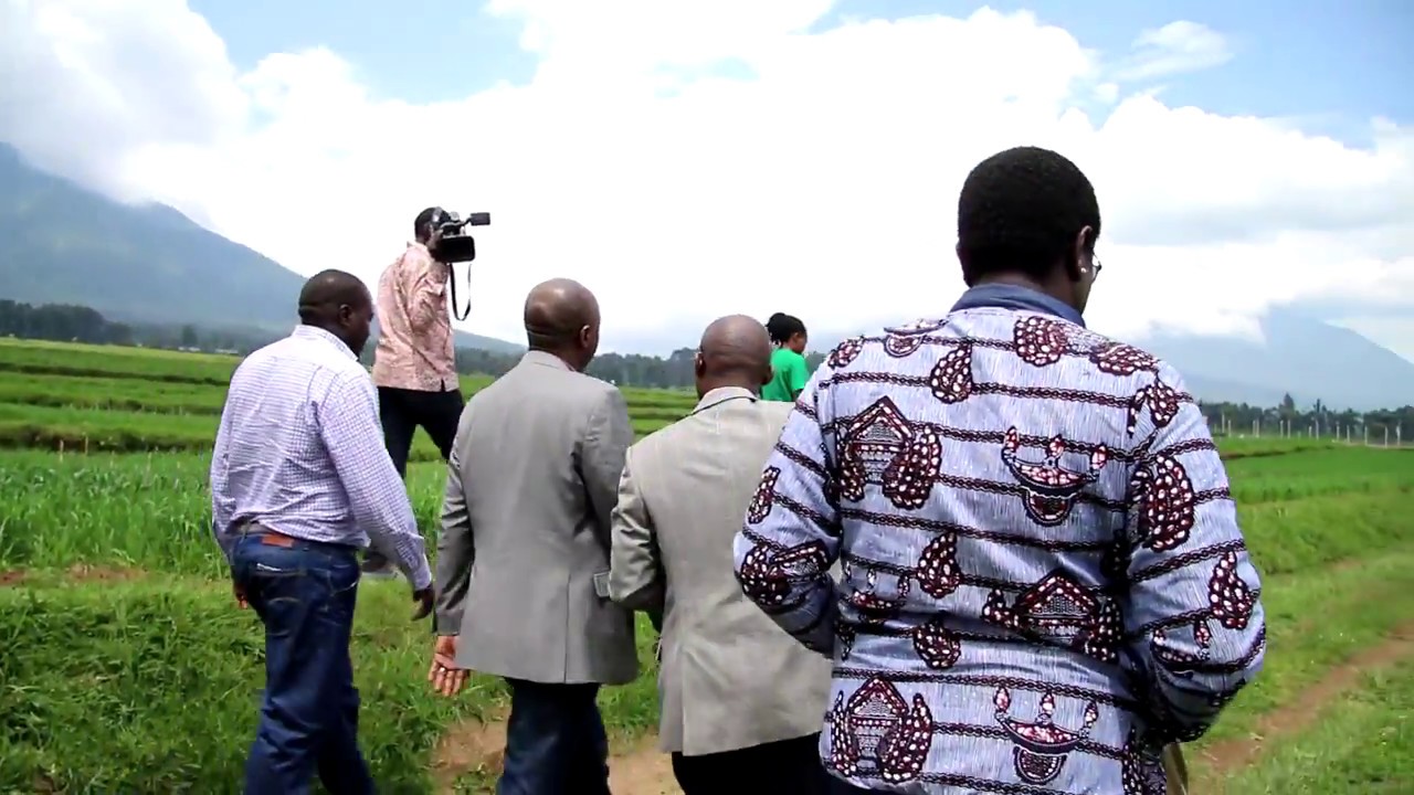 Prime Minister Dr. Ngirente Edouard visits Potato Collection Centre in Musanze District