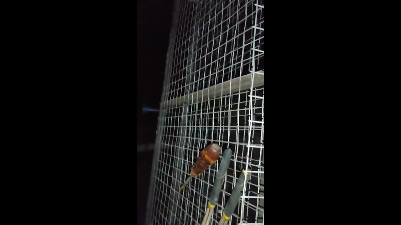 chiken cellصور كاملةكيفية صناعة قفص لتربيه الدجاج البياض