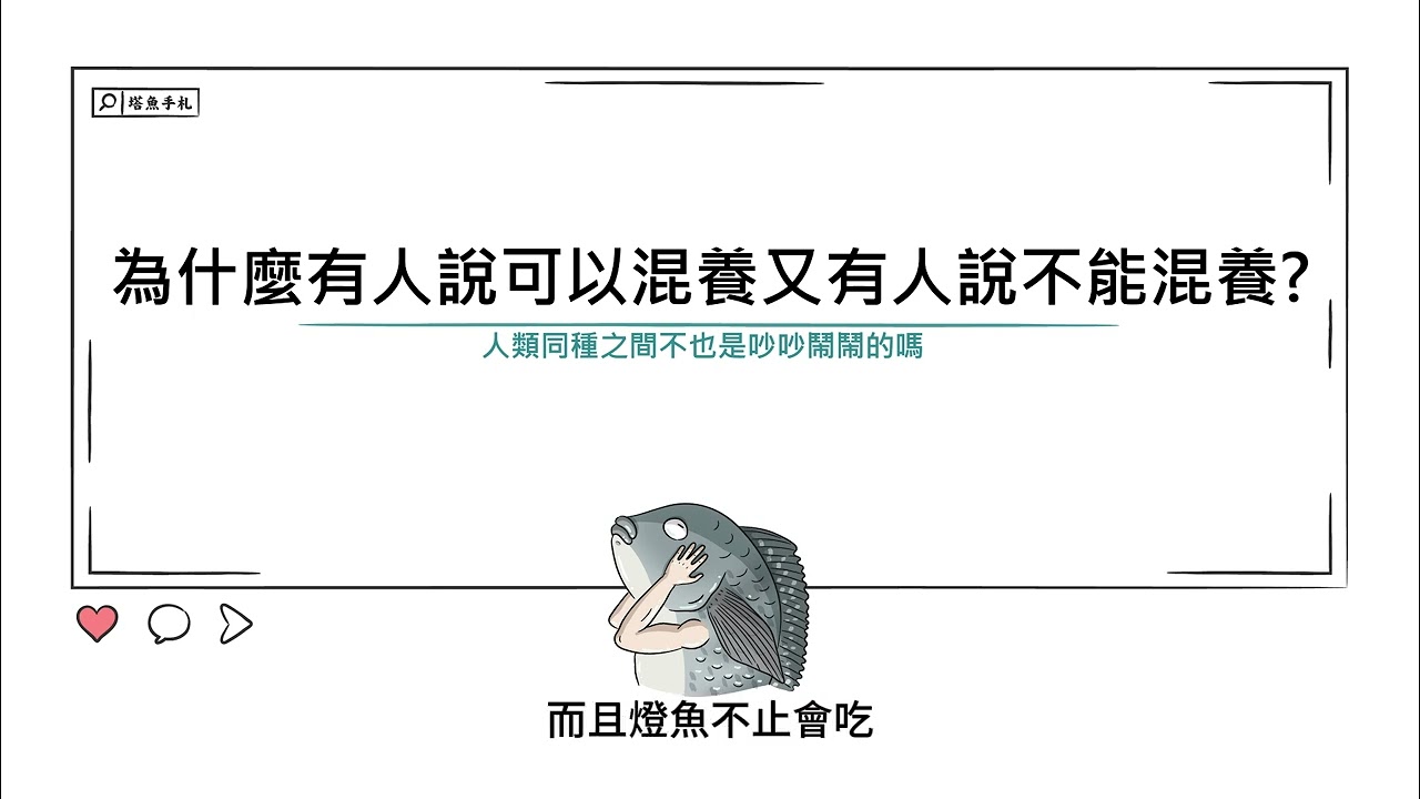 [水族大大不要聽]Ep107 為什麼有些人說可以混養，又有些人說不能混養?混養魚種需要注意那些事情呢?