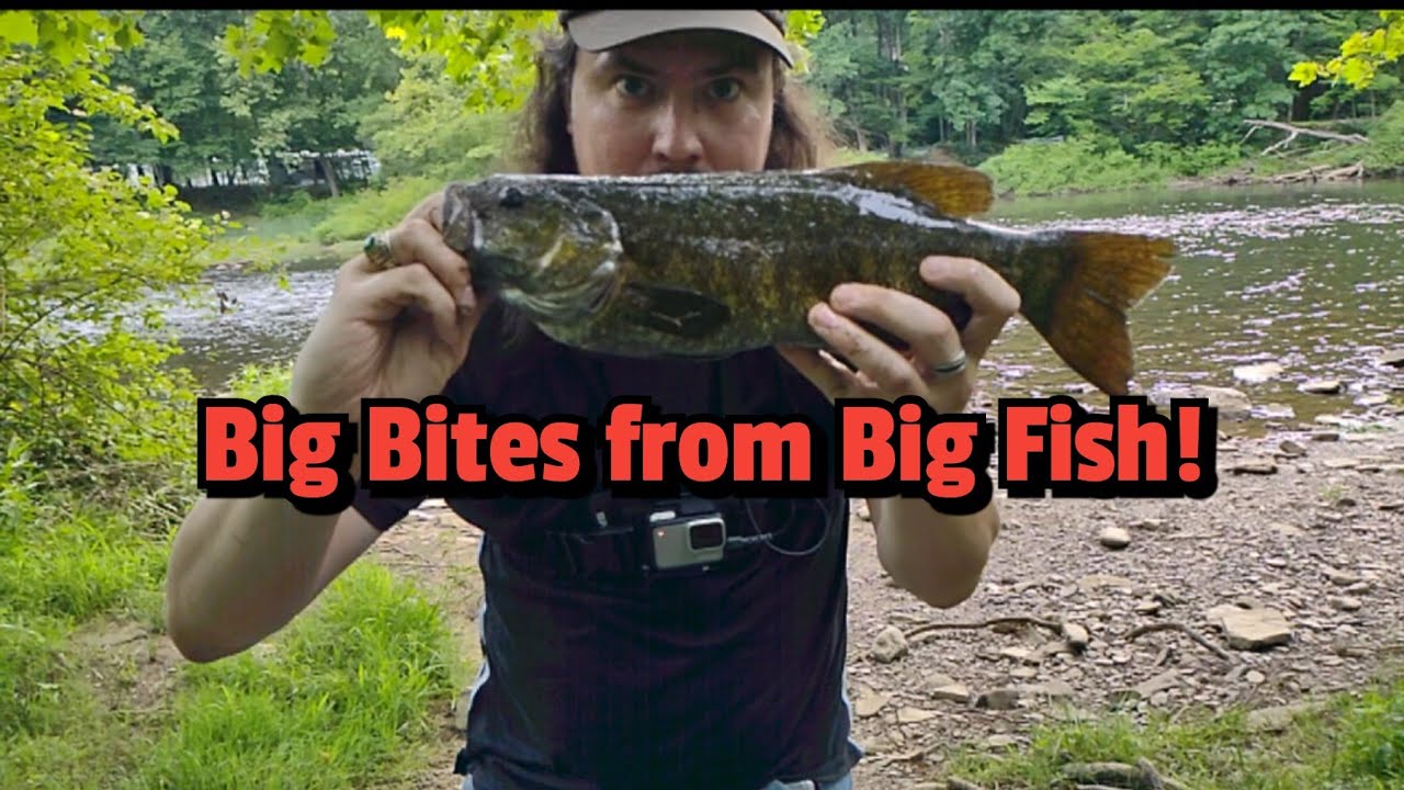 Targeting River Monsters in the Upper Allegheny