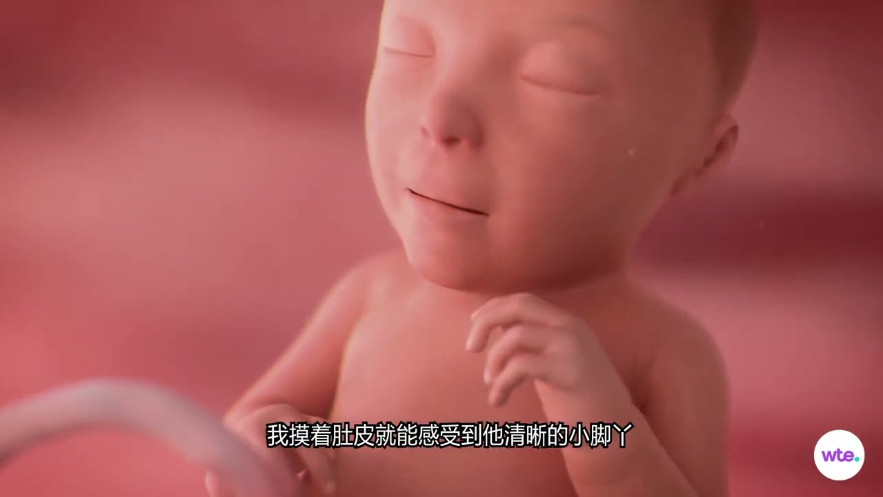 孕晚期29-40周｜胎宝宝每周都在悄悄长大✨