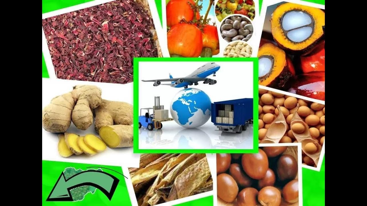 How to Export Goods From Nigeria to America