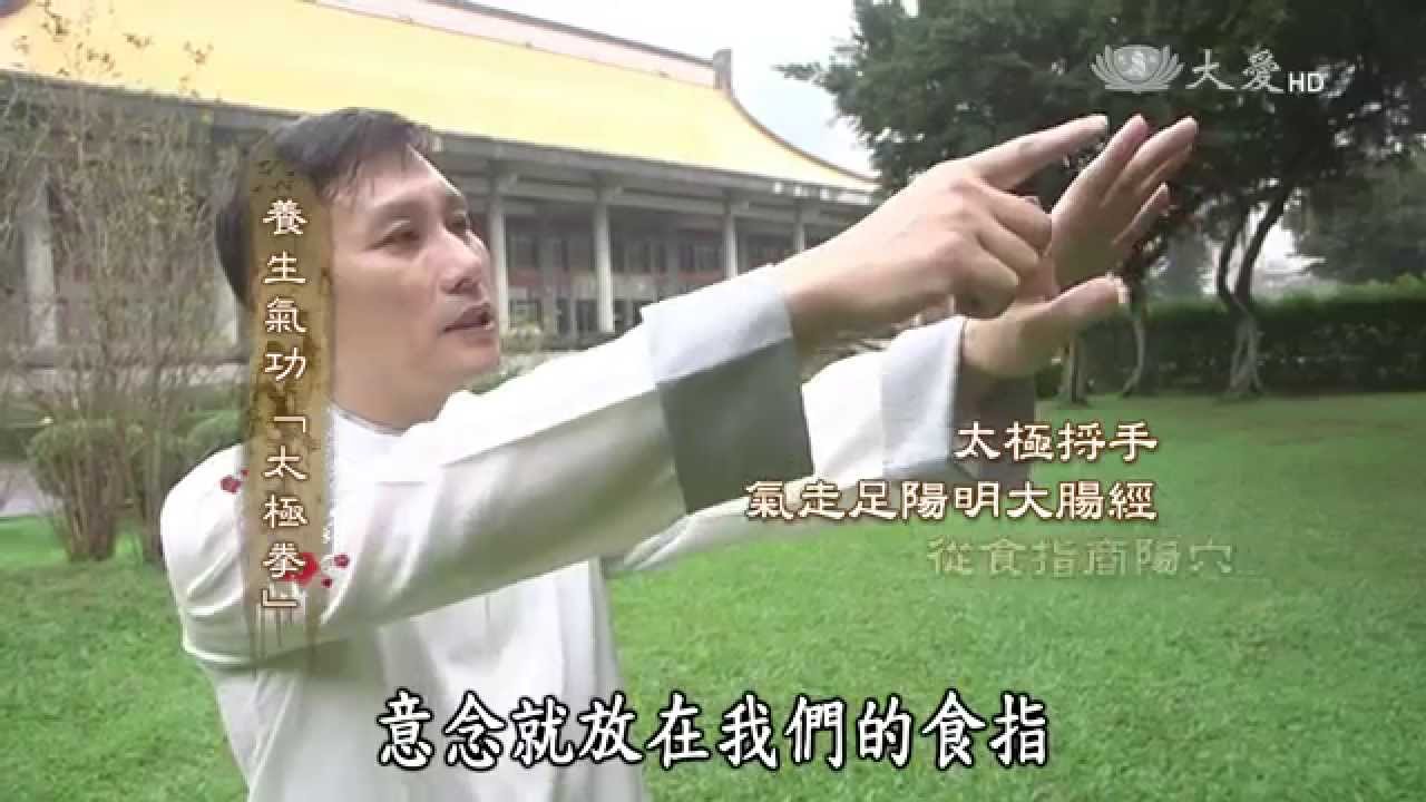 【看中醫】20150530 - 十二正經(上)