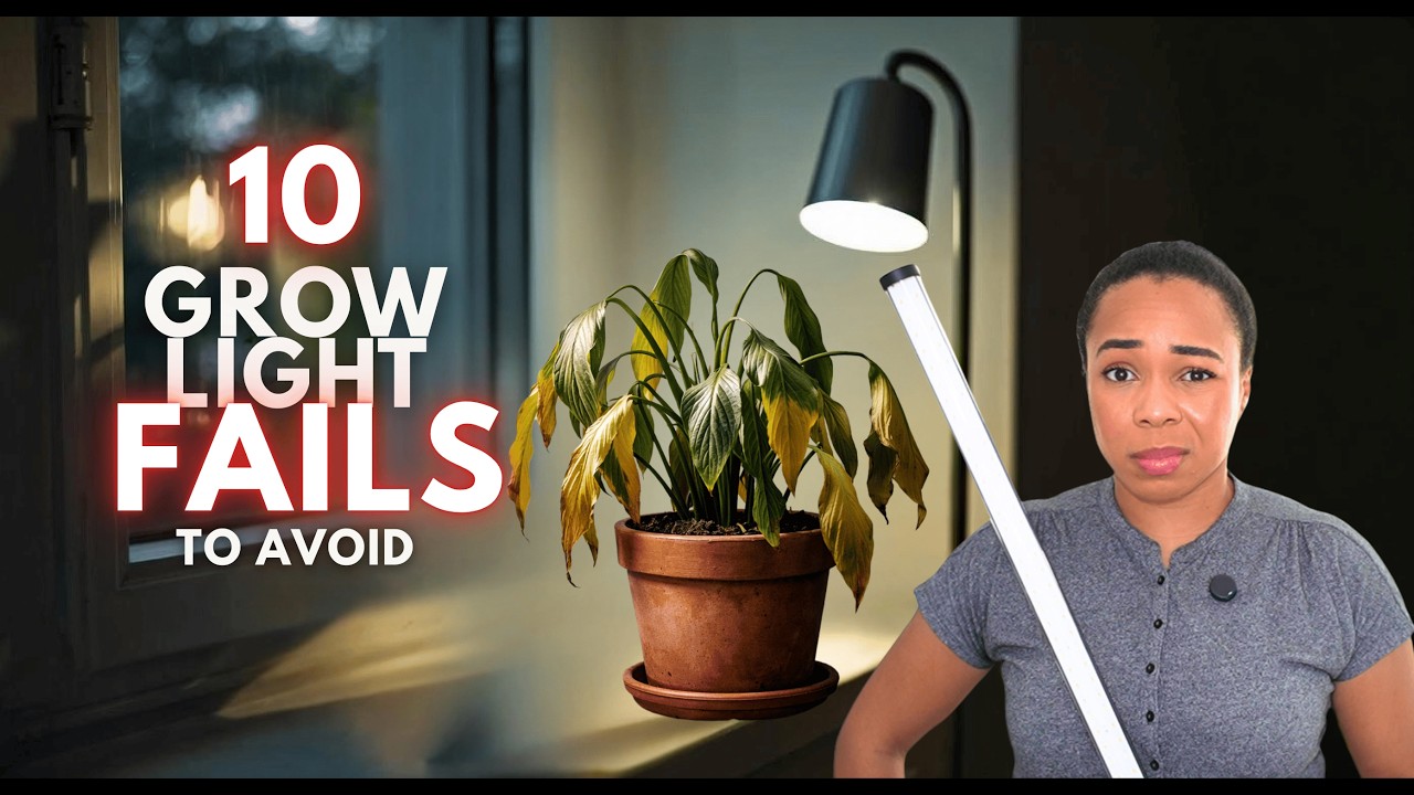 💡10 Reasons Why Your Grow Lights “Aren't Working” for your plants 🪴 