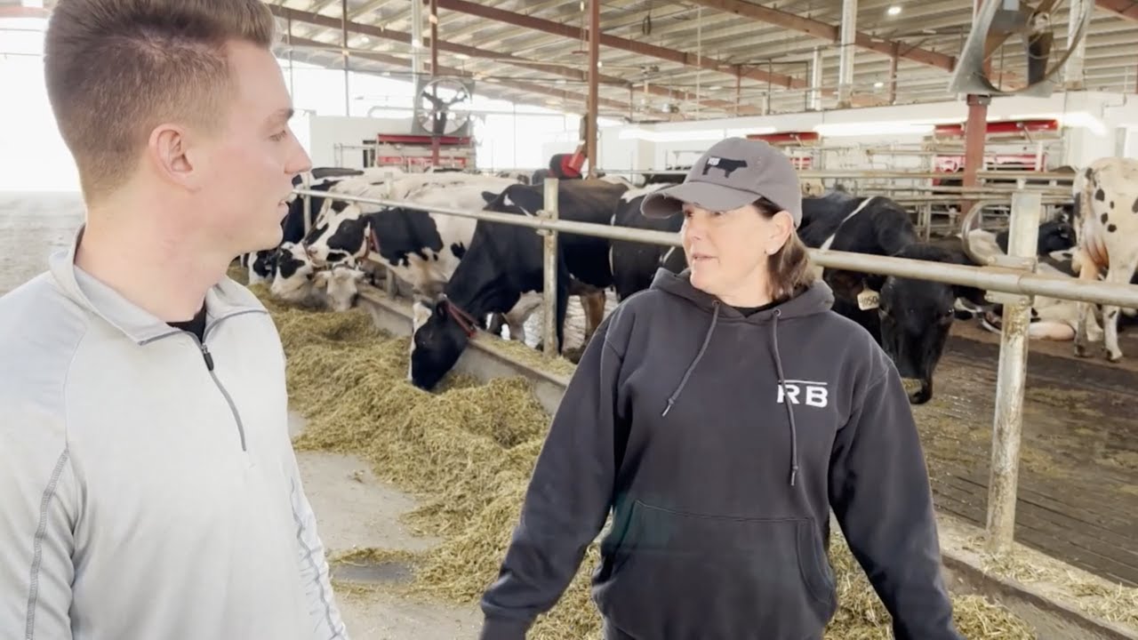 Massive California Dairy Turns to Robotic Milking for Sustainability | Lely Large Herd Dairy