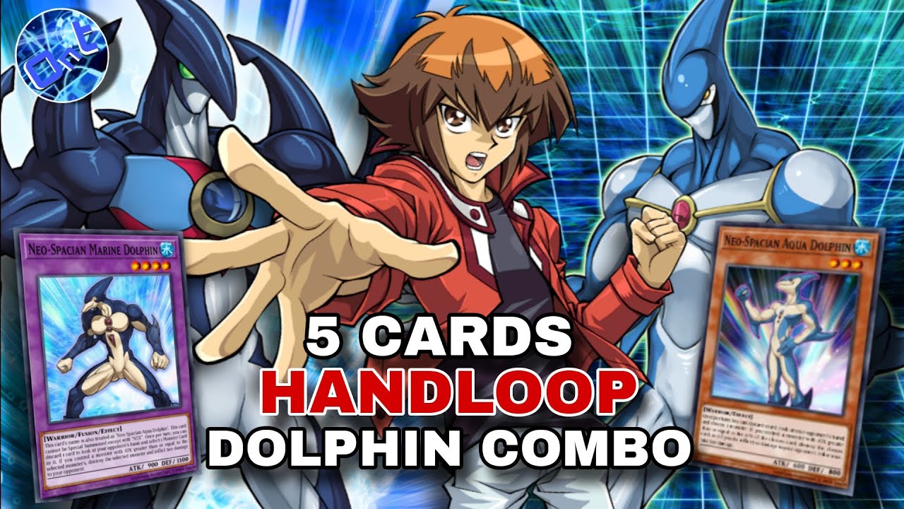 5 Cards Handloop Dolphin Combo with Neo-Spacian