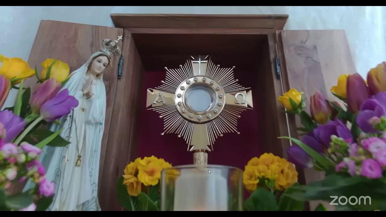 Br. Babu Vithayathil