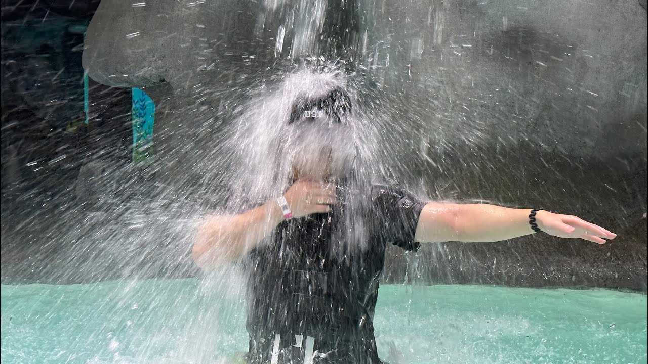 유튜버 안 했으면 뭐했을까 싶은 남편