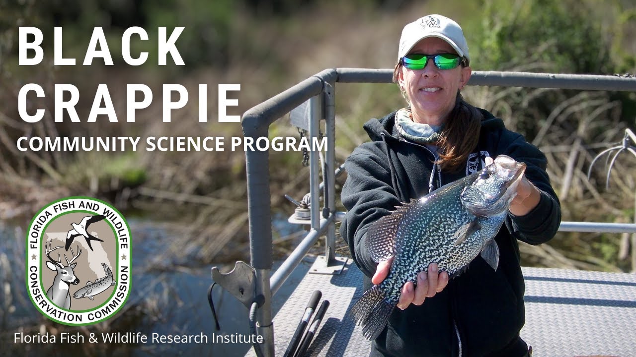 Black Crappie Community Science Program