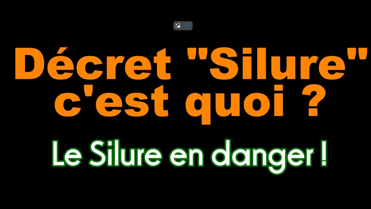 Vidéo 1 : Le Silure est en danger - Tout ce qu'il faut savoir sur le décret 