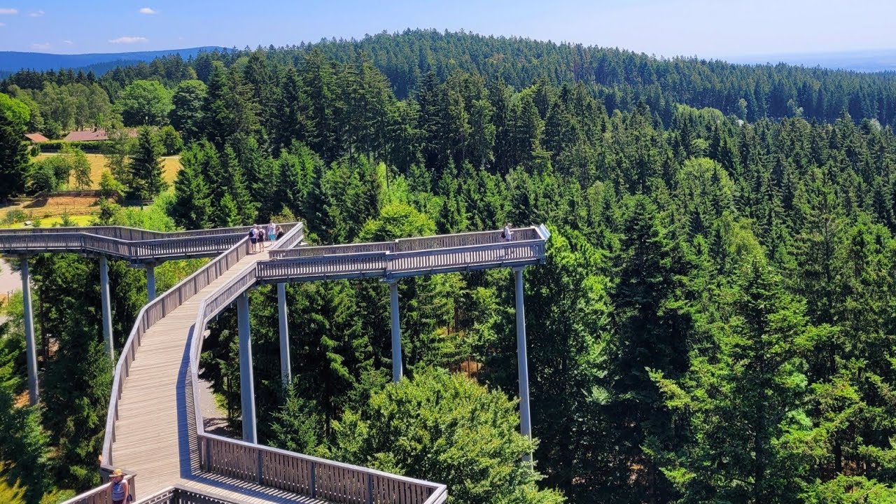 Ausflug, Waldwipfelweg, Waldturm, Haus am Kopf, St. Englmar, Niederbayern