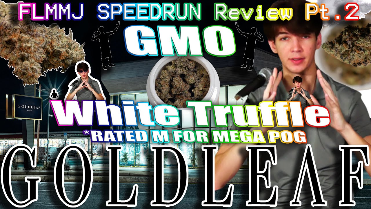 Florida Medical Dispensary GOLDLEAF GMO & White Truffle SPEEDRUN Pt. 2 Strain Review