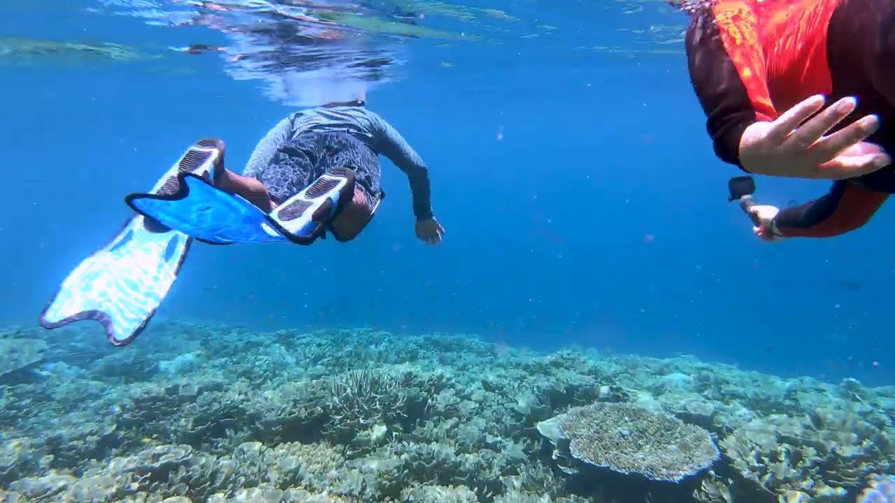 Indonesia - RAJA AMPAT snorkeling Yenbuba Jetty