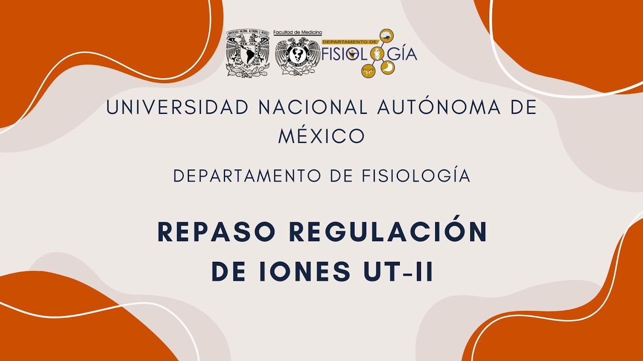 Megarrepasos