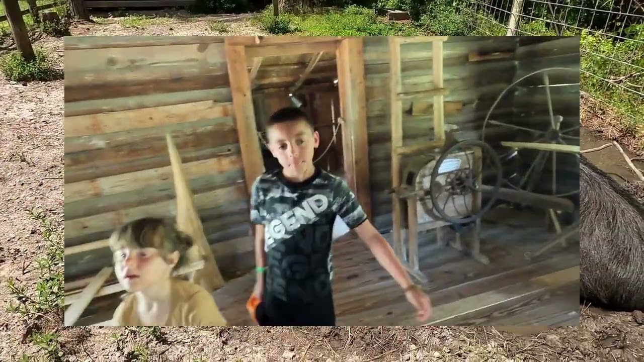 Okefenokee Swamp Visit 2024