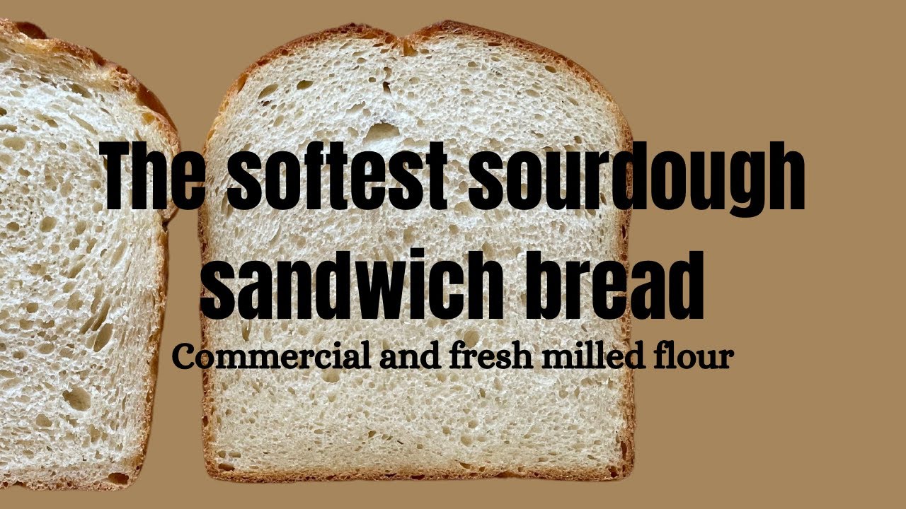 The softest sourdough sandwich bread (bonus fresh milled flour!)