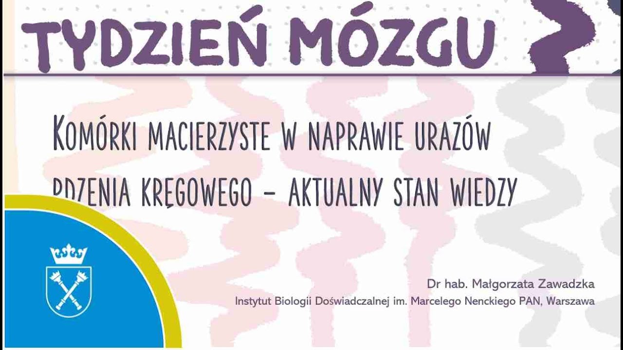 „Komórki macierzyste w naprawie urazów rdzenia kręgowego - aktualny stan wiedzy”