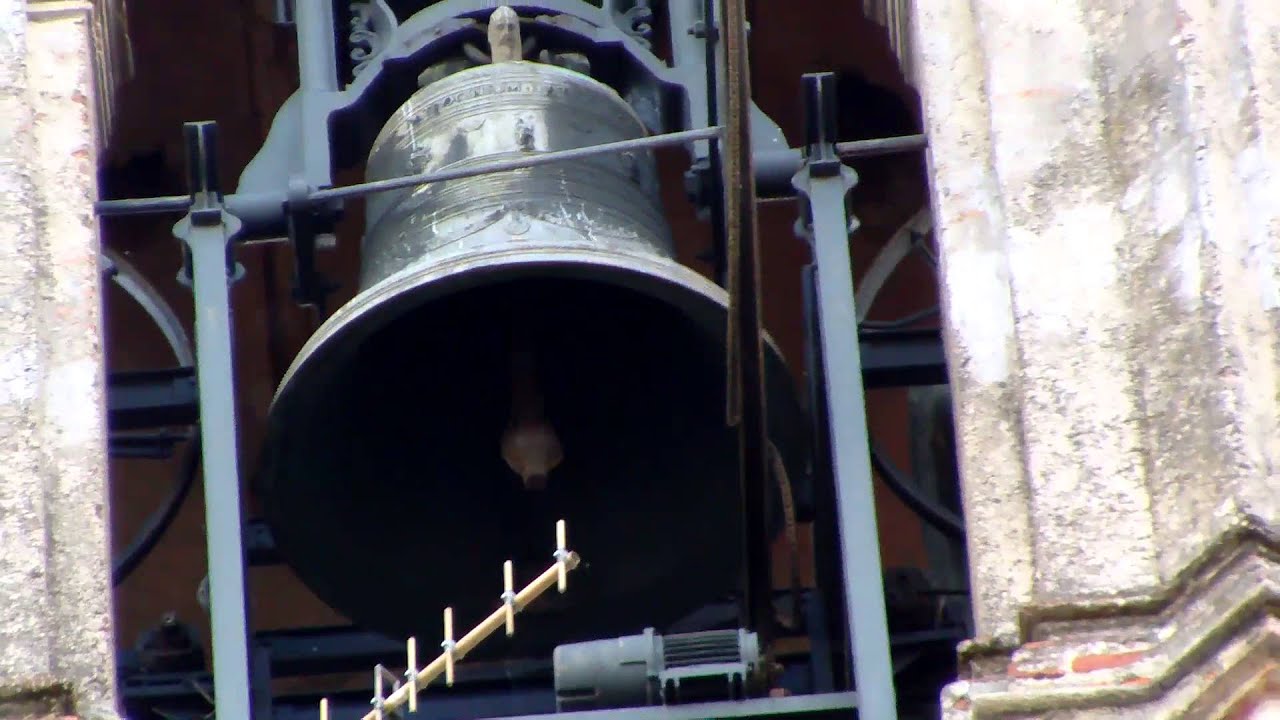 Le campane di Pavia - Cattedrale di Santo Stefano