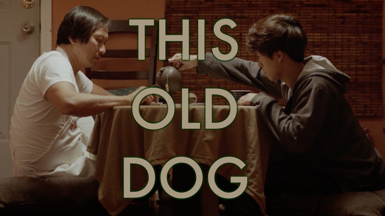 THIS OLD DOG (2020) - An Asian American Short Film by Christina Xing
